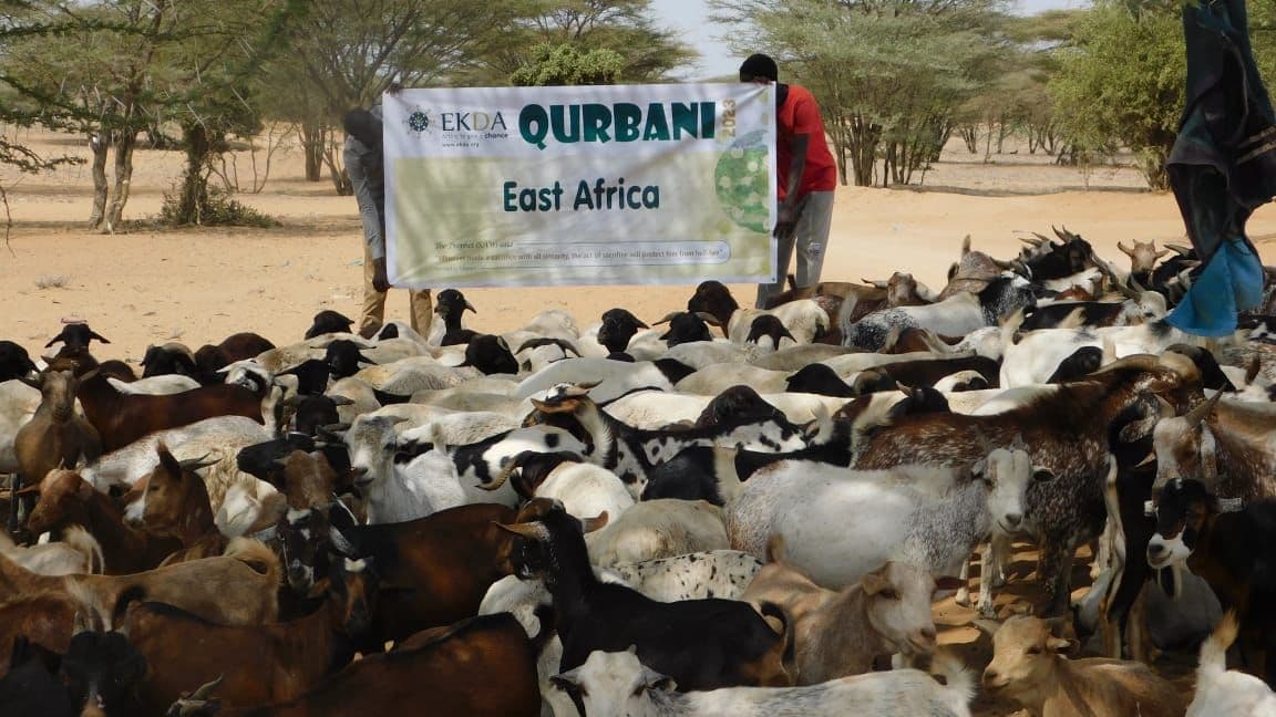 Qurbani 2023