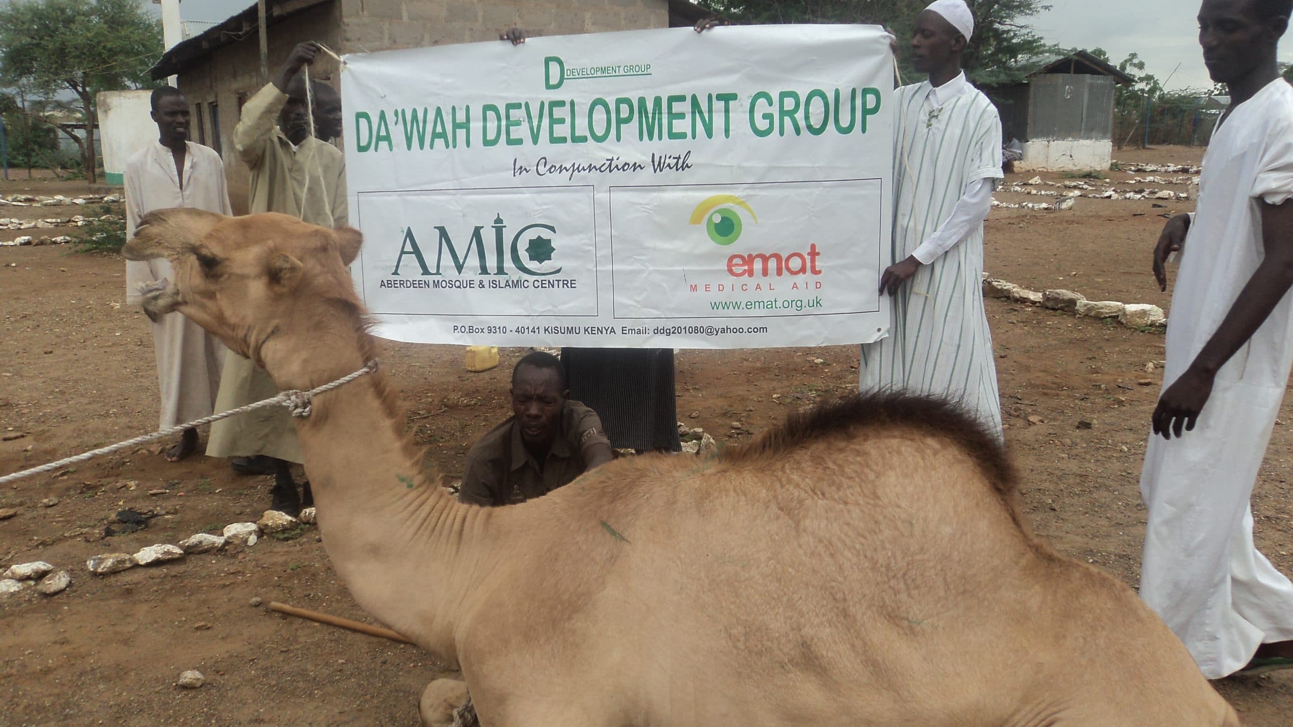 Qurbani 2011