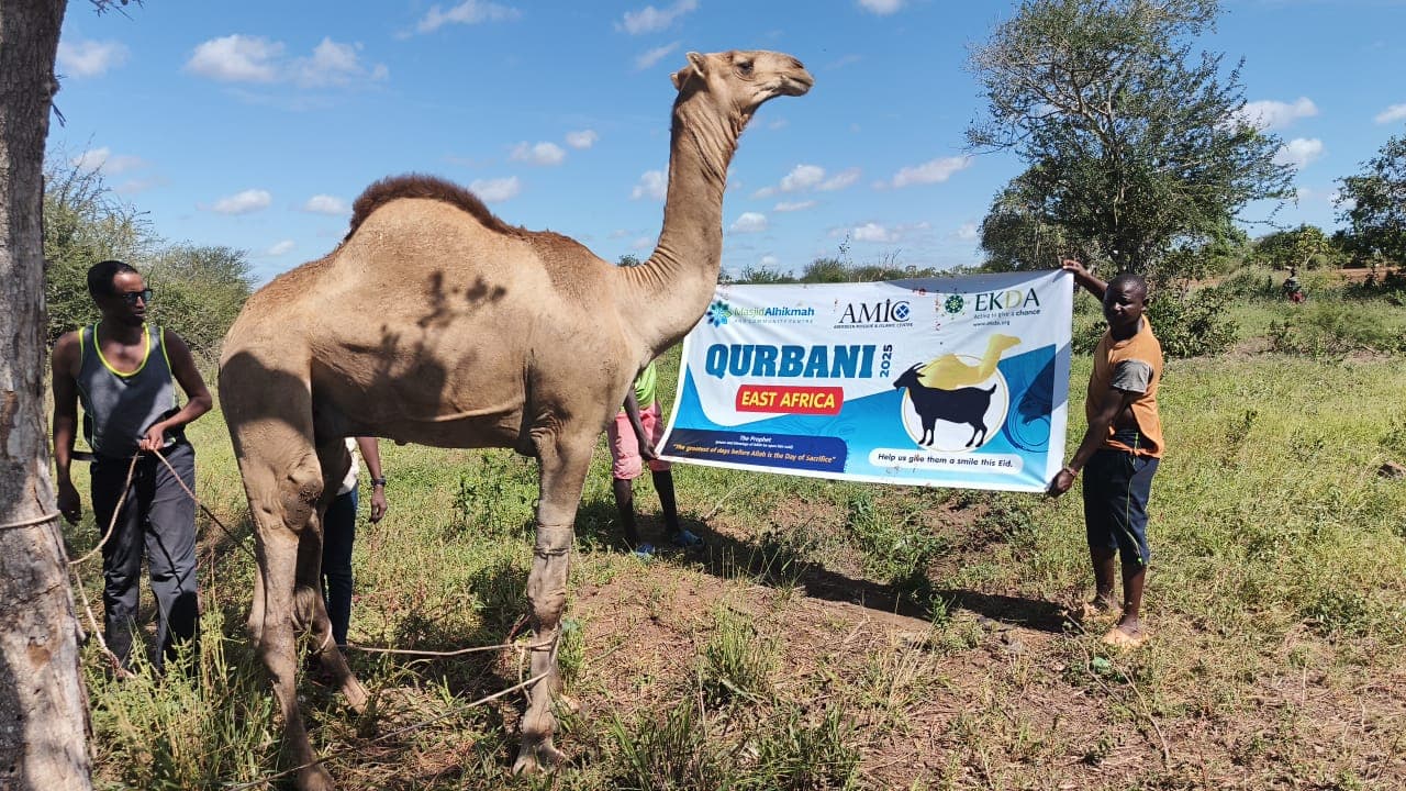 Qurbani 2025
