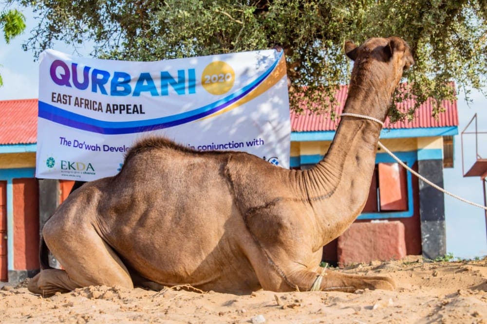 Qurbani 2020 Kenya